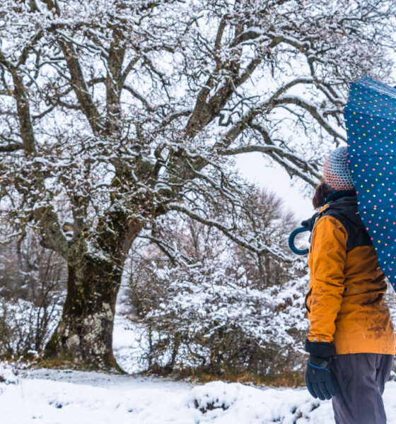 Avusturya'ya Soğuk Hava Dalgası Yaklaşıyor!