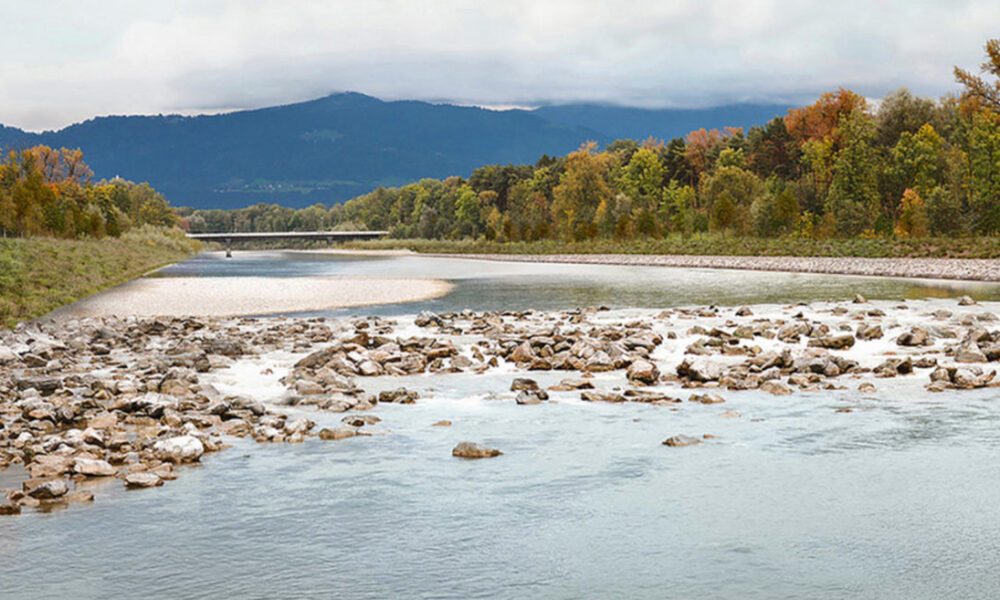 Bregenzerach Nehri'nin Taşkın Koruma Projesi