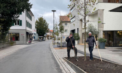 Dornbirn'e Yeni Bir Soluk: Marktstraße Yenilendi