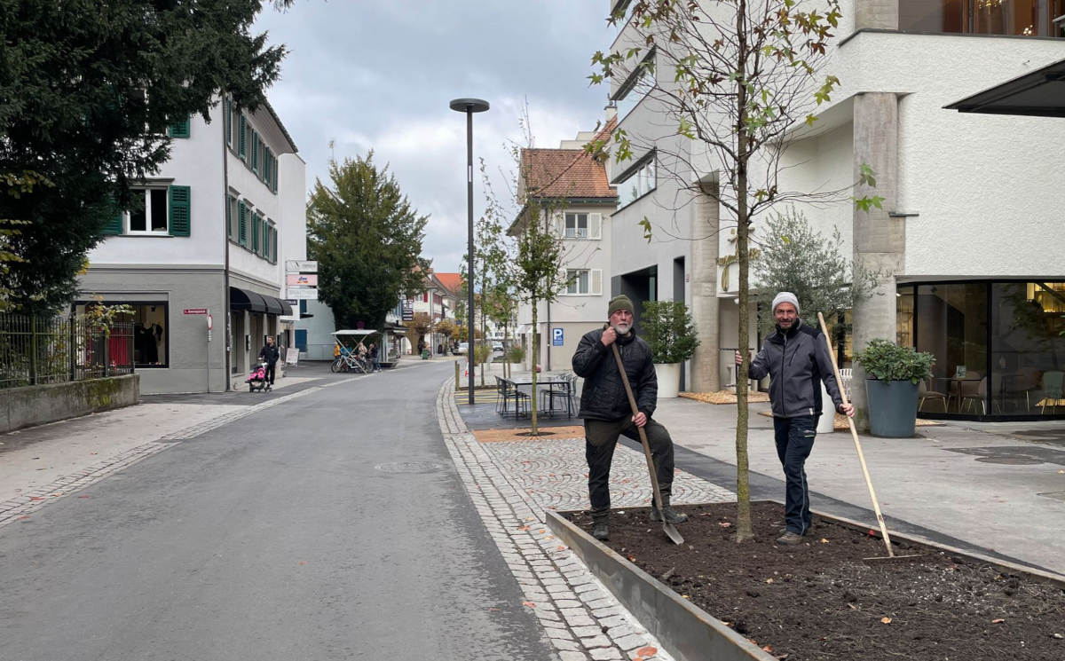 Dornbirn'e Yeni Bir Soluk: Marktstraße Yenilendi