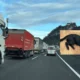 Kaçan Köpek Trafiği Felç Etti