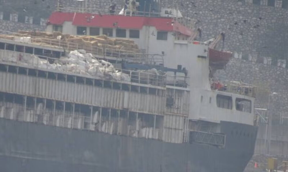 gemi sığır türkiye