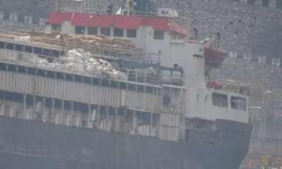 gemi sığır türkiye