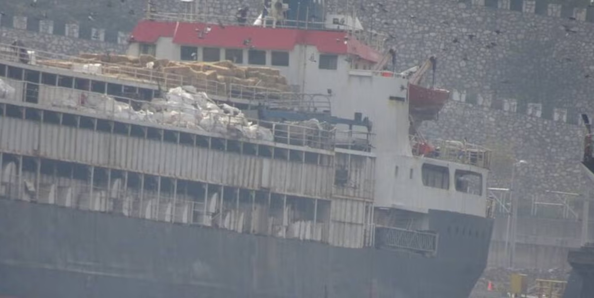 gemi sığır türkiye